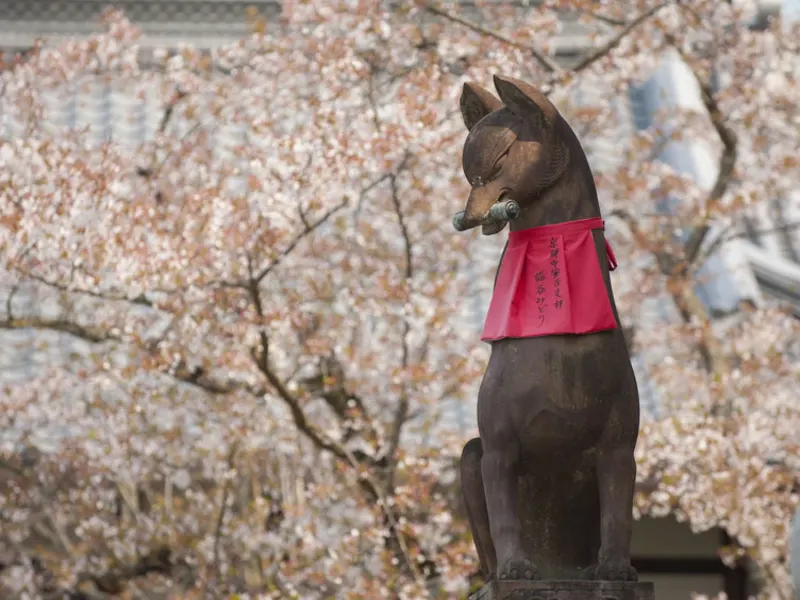 벨트라 랭킹 | 머큐어 교토 미야즈 리조트 & 스파