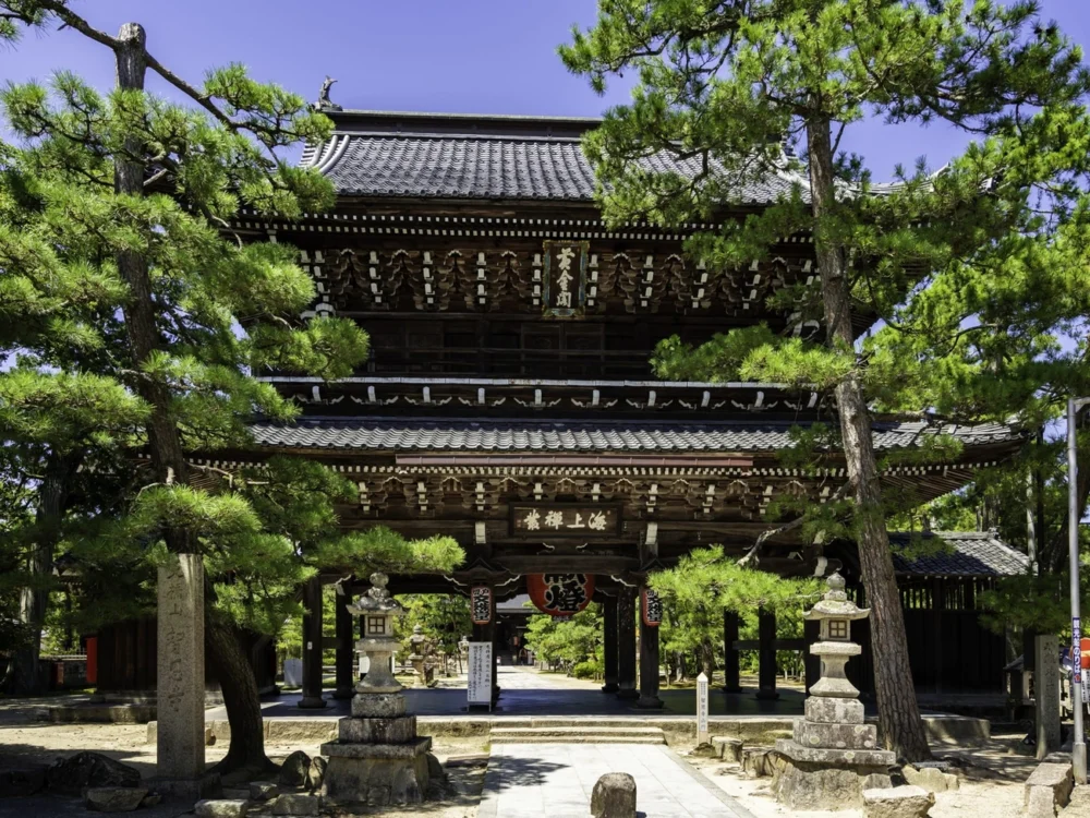 지은지 | 머큐어 교토 미야즈 리조트 & 스파