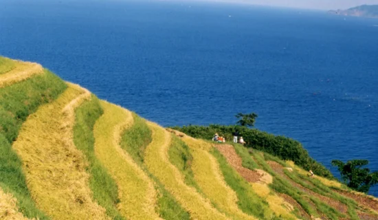 フォトギャラリー｜メルキュール京都宮津リゾート＆スパ