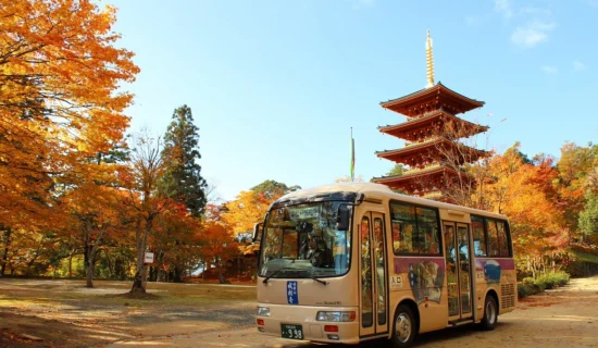 フォトギャラリー｜メルキュール京都宮津リゾート＆スパ