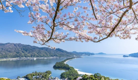 おすすめ桜スポットをご紹介