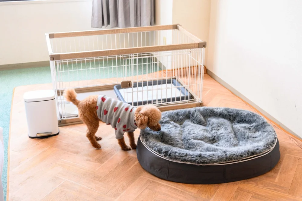 객실 이미지 | 머큐어 교토 미야즈 리조트 & 스파