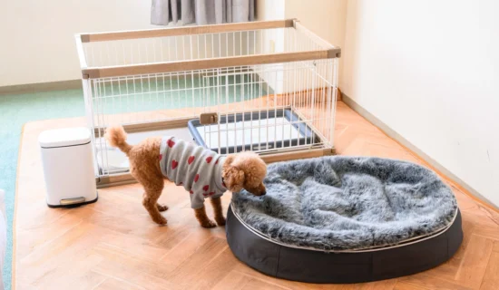 객실 이미지 | 머큐어 교토 미야즈 리조트 & 스파