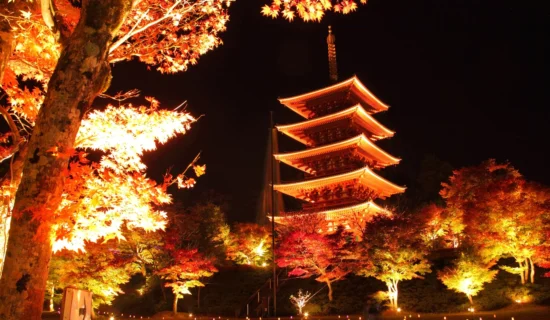 Autumn leaves information around the hotel